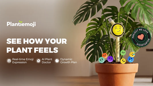 Inside Plantiemoji: The Smart Sensor That Gives Your Plant a Voice