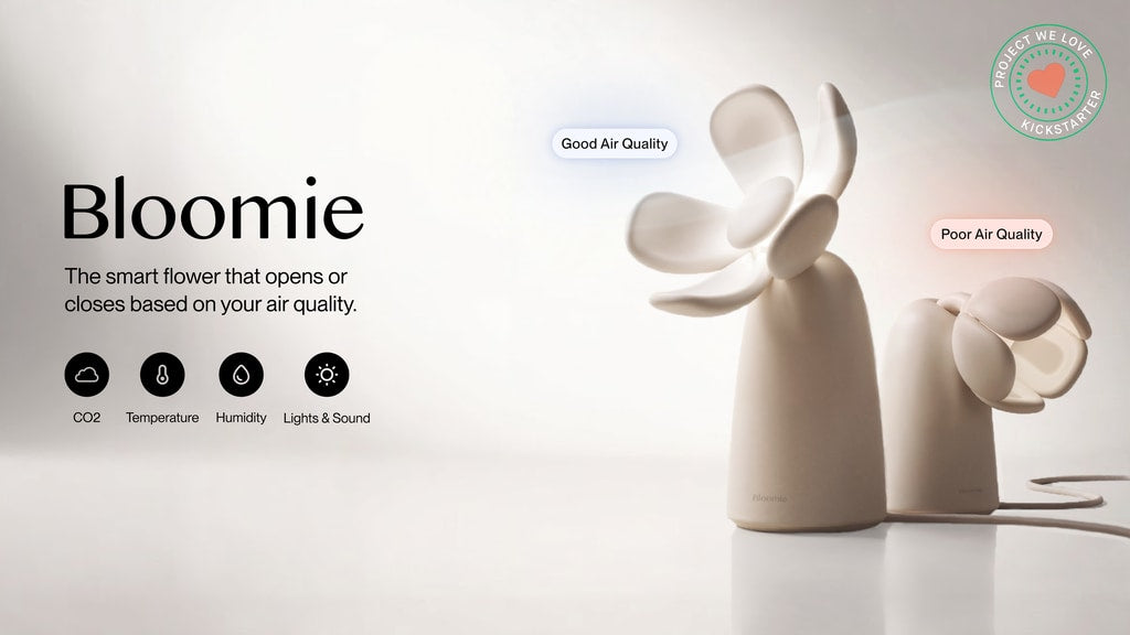 Inside Bloomie: The Smart Air Sensor Disguised as a Flower