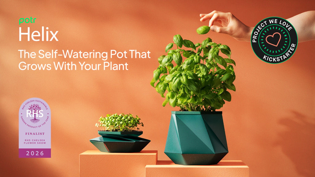 Inside the HELIX: The Origami Pot That Grows With Your Plant