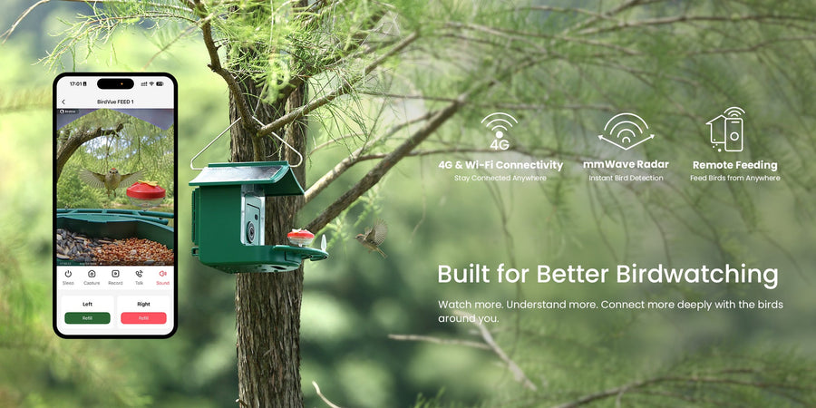 BirdVue: The World's First 4G Smart Bird Feeder